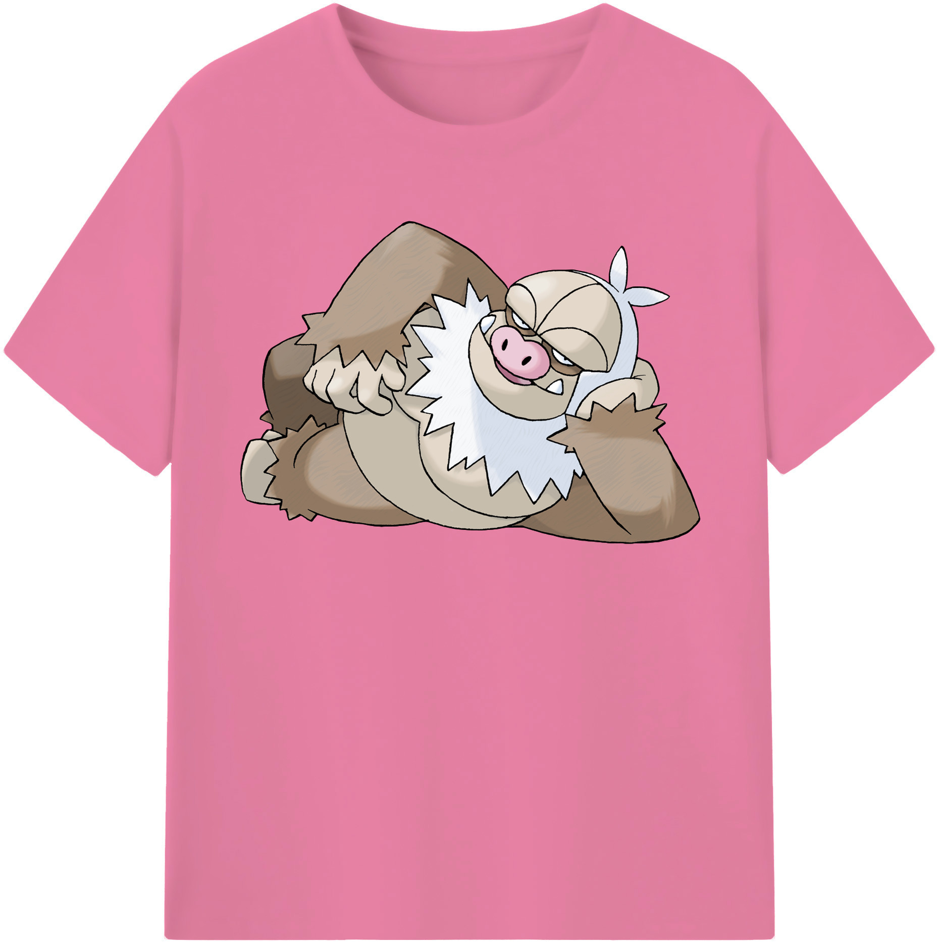 （画像用） ポケットモンスター Pokémon 綿100％半袖Tシャツ（フロントプリント）